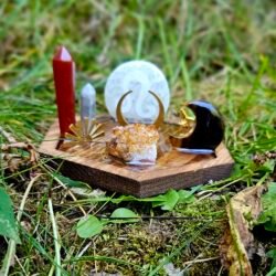 Leo Zodiac Crystal Display