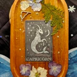 Capricorn Trinket Tray