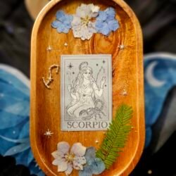 Scorpio Trinket Tray