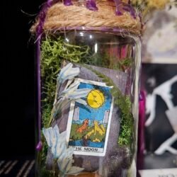 The Moon Mini Taro-rraium