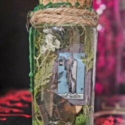 The Hermit Mini Taro-rraium