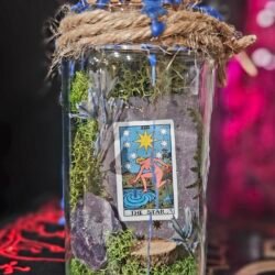 The Star Mini Taro-rraium