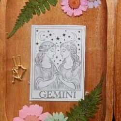 Gemini Trinket Tray