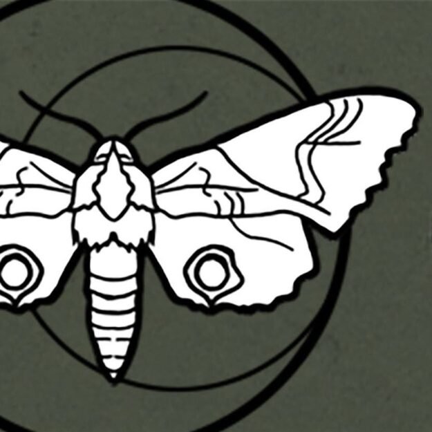 The Hermetic Apothecary