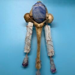 Stones and Bones art: Guardian