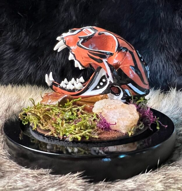 Navajo Hand Painted Bobcat Skull / Authentic Native American Art