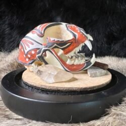 Diné / Navajo Hand Painted Bobcat Skull / Authentic Native American Art