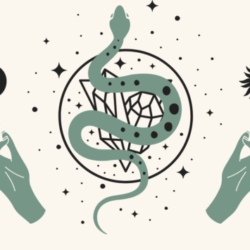 All Natural Perfume-Roller Bottle 10ml