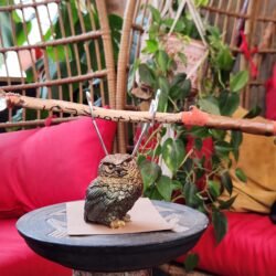 Make your own sunshine