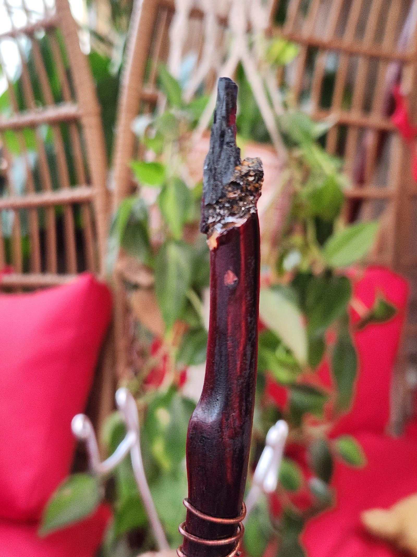 Vivianite and Butterfly wing wand - Image 5