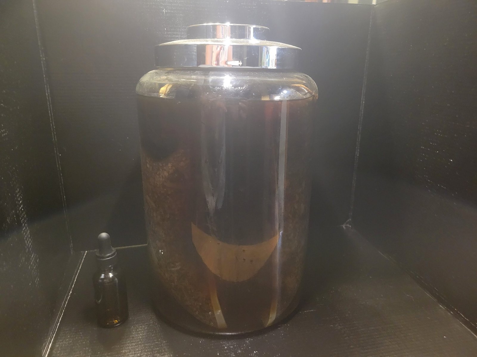 Dit da Jow Liniment: 1oz Liquid - Image 2