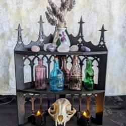 May include: A black, gothic-style shelf unit displays a cat skull, candles, and various colored glass bottles. The bottles are pink, blue, and green. A small ceramic bowl with dried botanicals sits on the bottom shelf.