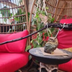 Vivianite and Butterfly wing wand