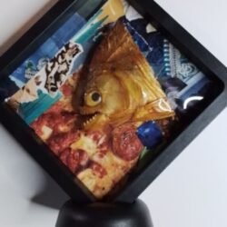 Vintage taxidermy piranah head in altered art display