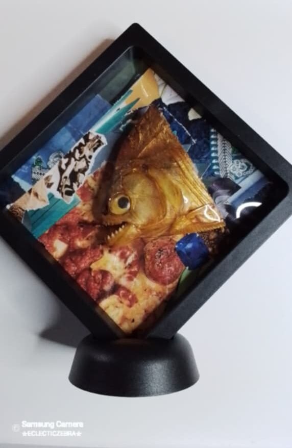 Vintage taxidermy piranah head in altered art display