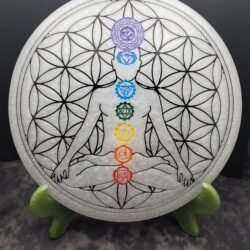 Chakra Grid w/Subtle Body