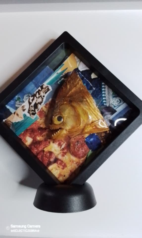 Vintage taxidermy piranah head in altered art display - Image 5