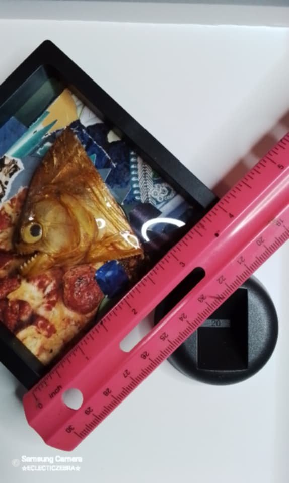 Vintage taxidermy piranah head in altered art display - Image 3