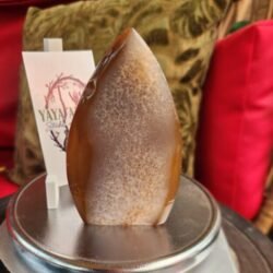 Honey Agate Teardrop