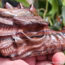 Tiger Iron Dragon head carving