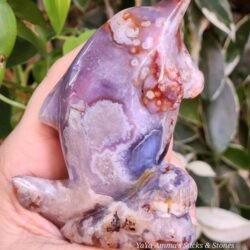 Blue flower agate hand carved dolphin crystal