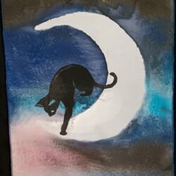 Black Cat