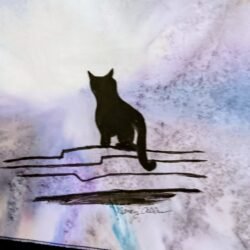 Black Cat
