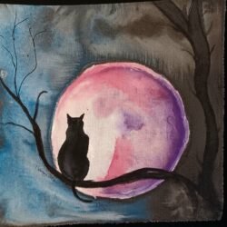 Black Cat