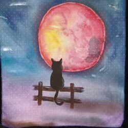Black Cat