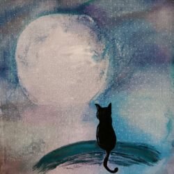 Black Cat