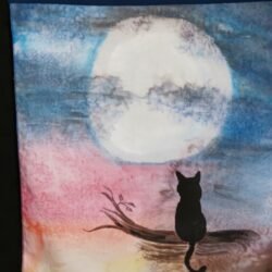 Black cat