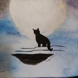 Black Cat
