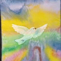 Dove One