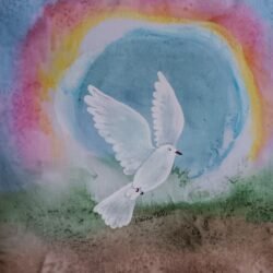 Dove Ten