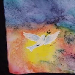 Dove Eleven