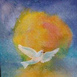 Dove Two