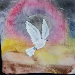 Dove Three