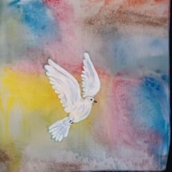 Dove Four