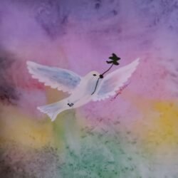 Dove Five