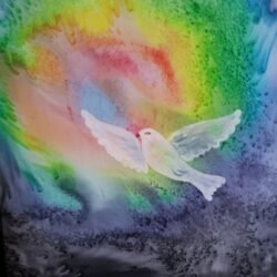 Dove Eight