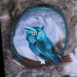 Screech Owl