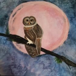 Owl