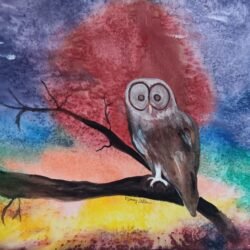 Owl