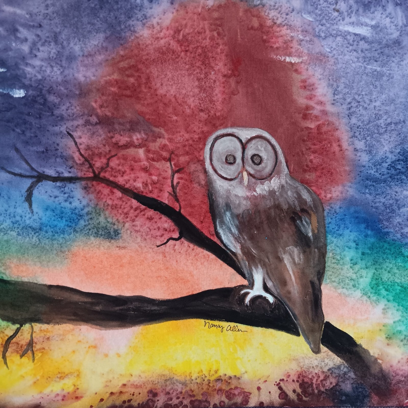 Owl