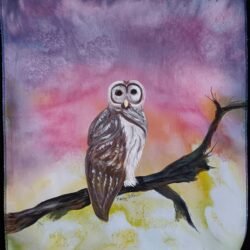 Owl
