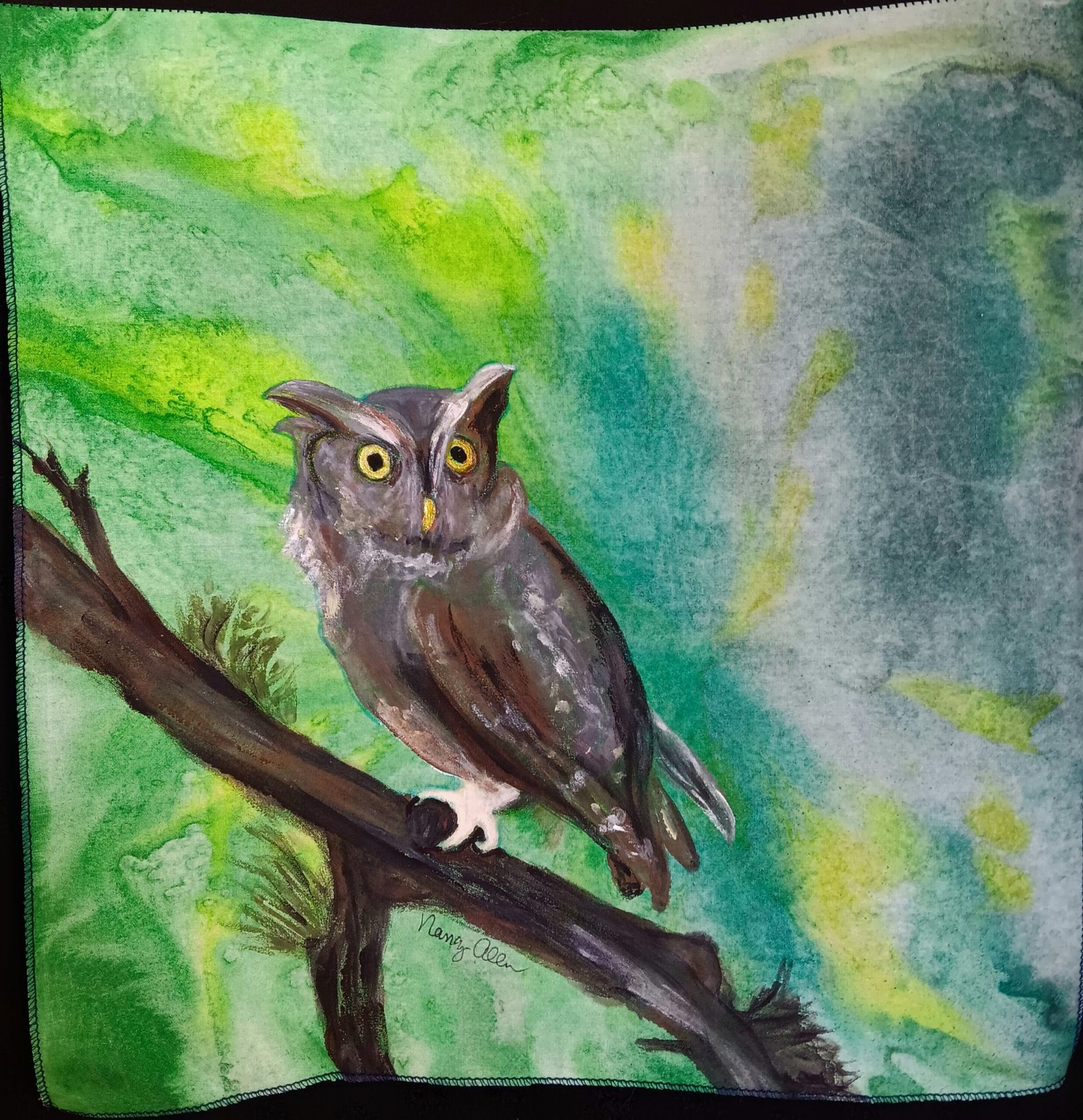 Screech Owl