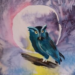 Screech Owl