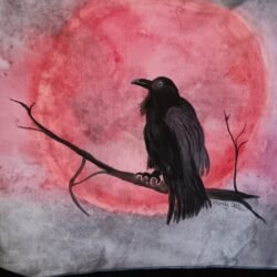 Raven