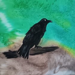 Raven
