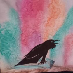 Raven